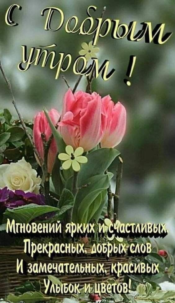 Мгновений ярких Миа Прекрасныхаповрьпшо И замечательныхукраёивых к