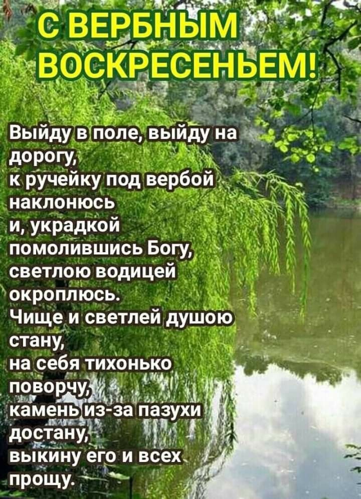 Выйдув поле выиду 353 дРгУ к ручейку под вербой наклонюсь Ё и украдкой помолившись Богу светлою водицей окроплюсь Чище и светлейдушою стану _ на себя тихонько Камень из з_а пгізУхи достануъ выкину е__гіо и всЪх прощу