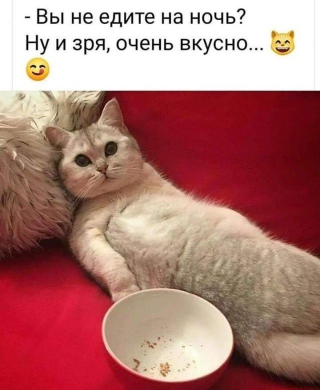 Вы не едите на ночь Ну и зря очень вкусно