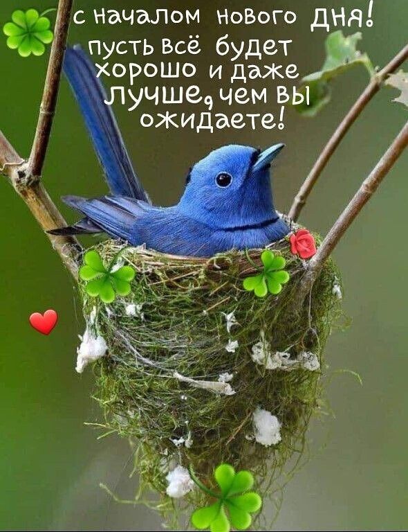 орошо и даже учшеч чем ВЫ ожидаете