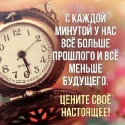 ЦЕнит ндстп