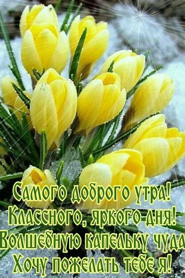 Самогудоброго утрёть