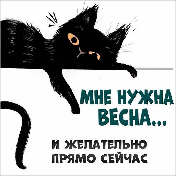 МНЕ НУЖНА ВЕСНА и жвлдтвльно прямо СЕЙЧАС