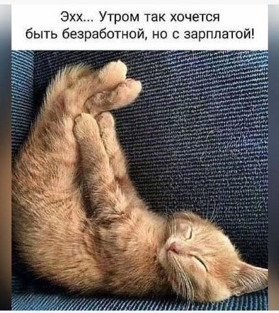 Эхх Утром так хочется быть безработной но с зарплатой