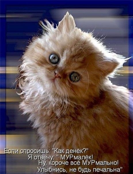 бнись не будь печальна
