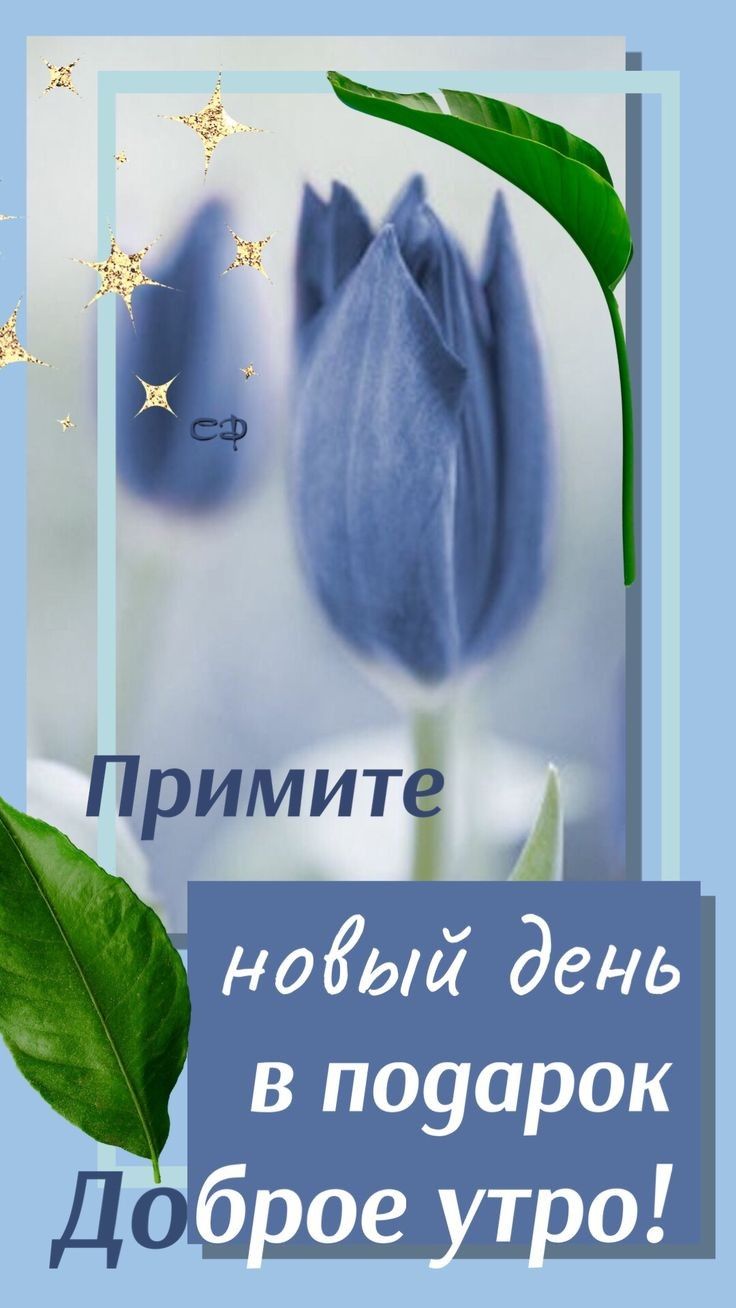 Примите і дО