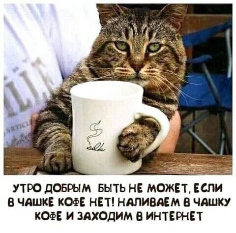 УТРО ДОБРЫМ БЫТЬ НЕ МОЖЕТ ЕСЛИ В ЧАШКЕ КОФЕ НЕТ НАПИВАЕМ В ЧАШКУ КОФЕ И ЗАХОДИМ В ИНТЕРНЕТ
