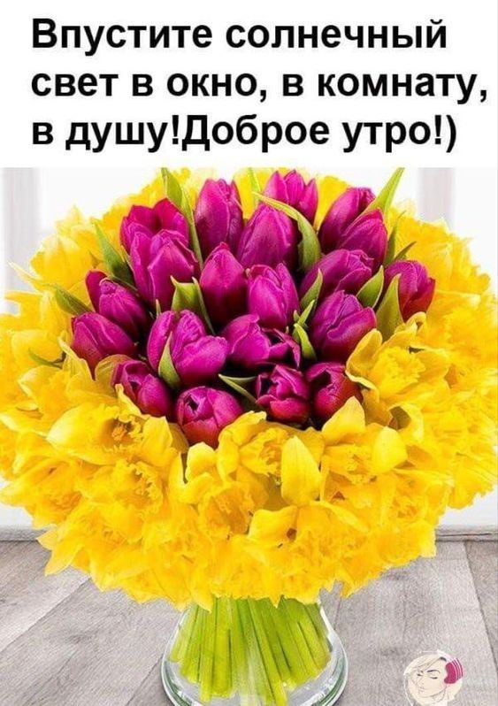 Впустите солнечный свет в окно в комнату в душудоброе утро