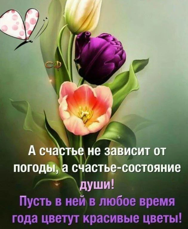 А счаЕтье не зависит от погоды счастье состояние души Пусть в ней в любое время года цветут красивые цветы