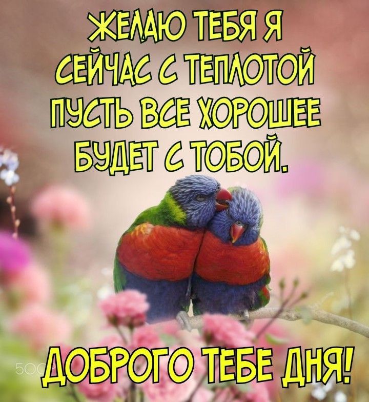 _ щитки пчаьшхпшв Бг