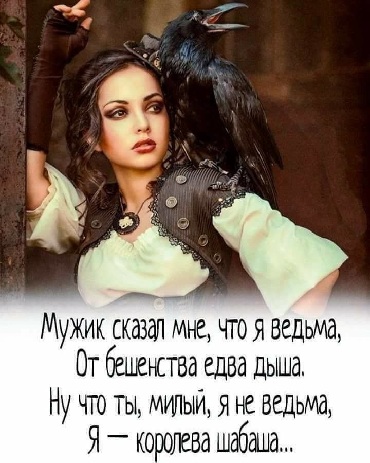 Ап_ ___ Мужик сказал мне чтоя ведьма От бешенства едва дыша Ну что ты милый я не ведьма Я _ королева шабаша