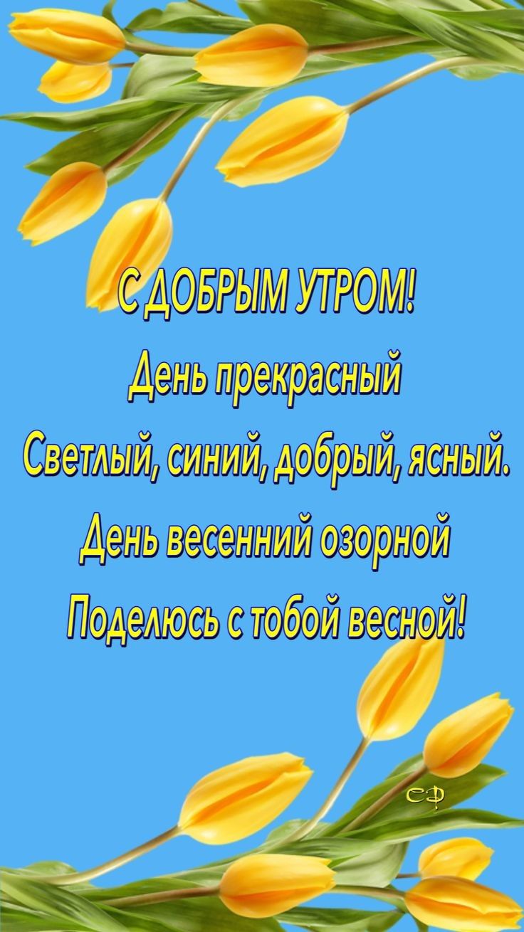 День пиратский Светлый синийдобрнй ший День весеннийозорной