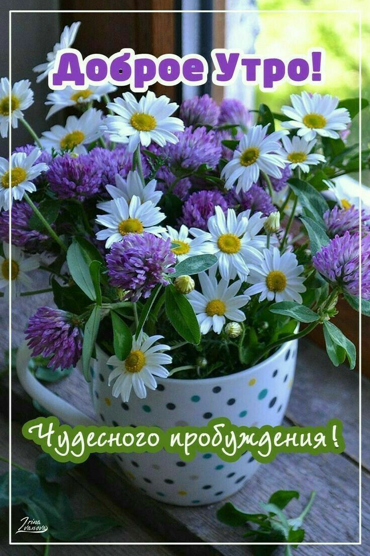 Чидсвного иробдждшии я