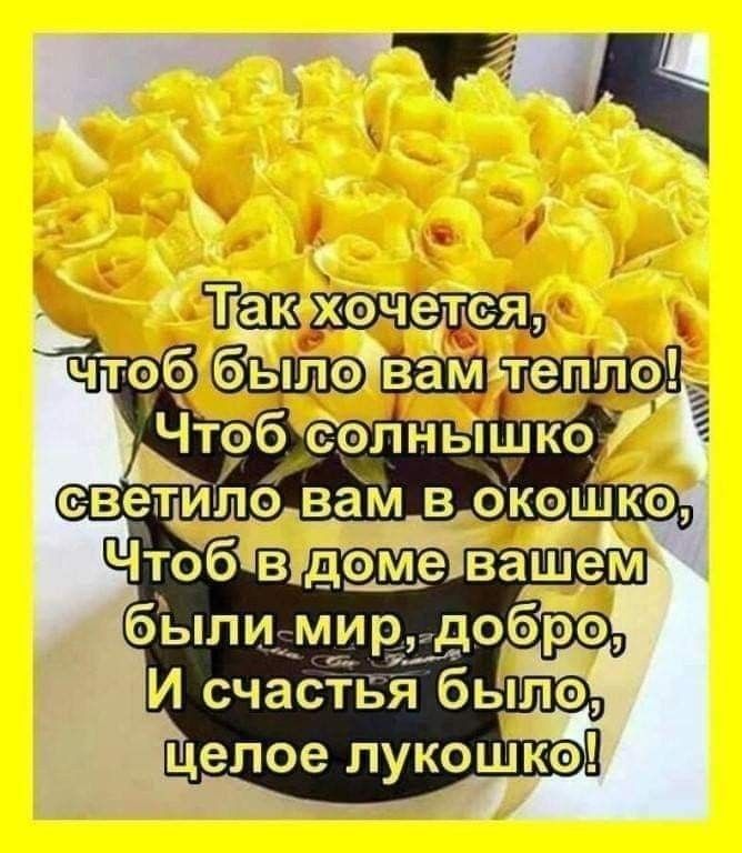 тд целое лукошко