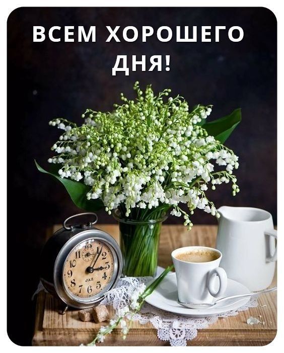 ВСЕМ ХОРОШЕГО