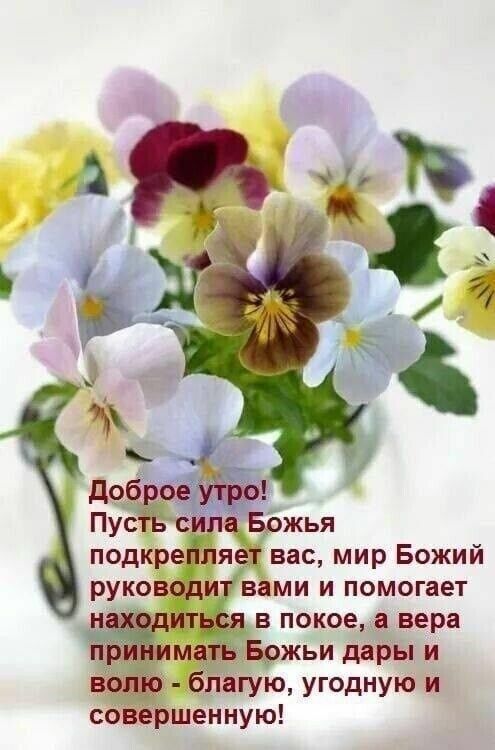 подкреіпяет вас мир Божий руководит вами и помогает в покое а вера мт Божьи дары и благую угодную и совершенную