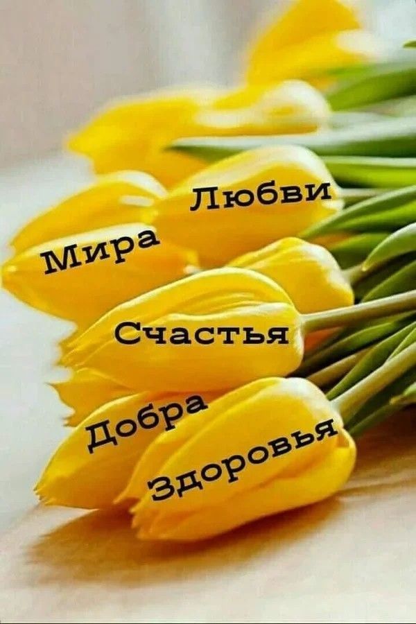 Счастьягу