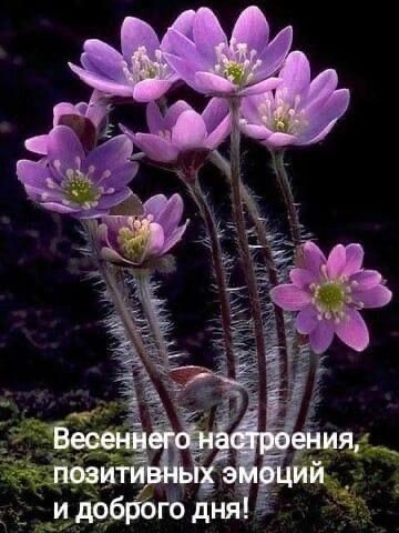и добйогб дня