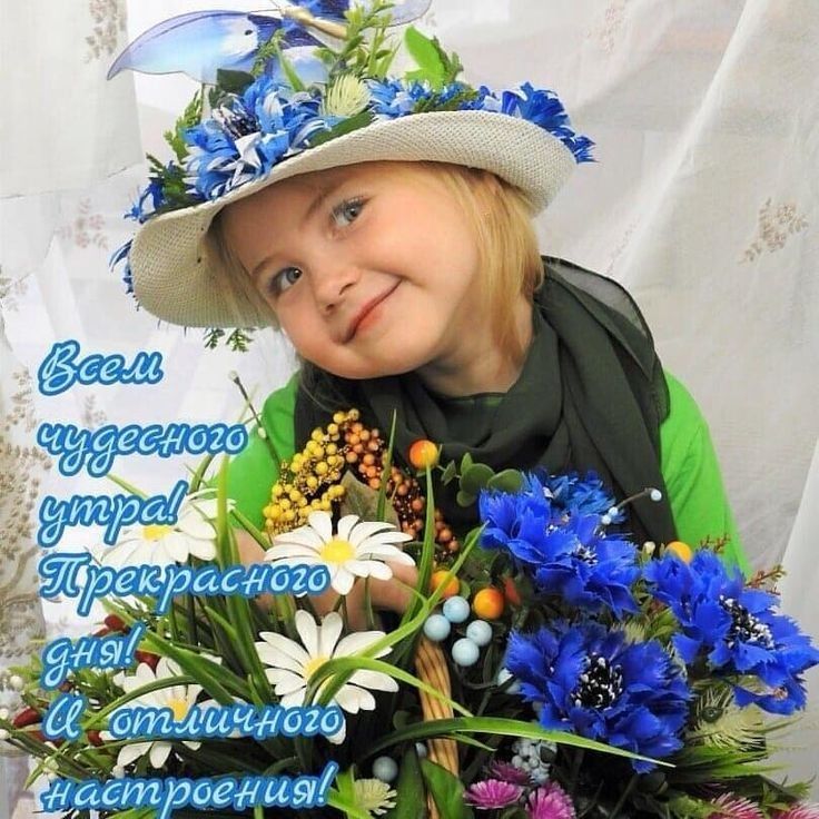 31 поедит