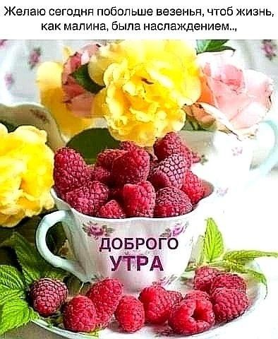 Желаю сегодня побольше везенья чтоб жизнь как малина была наслаждением 9 тд 7 гг доврого утих