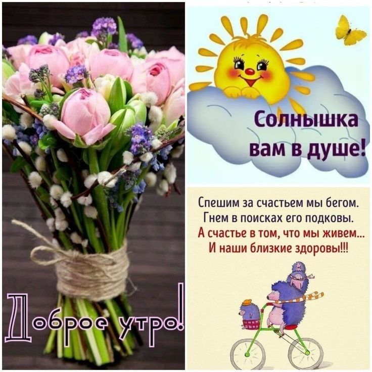 Спешим за счастьем мы Бегом Гнем в поисках его подковы А счастье ВТОМ ЧТО МЫ живем И наши близкие здоровы