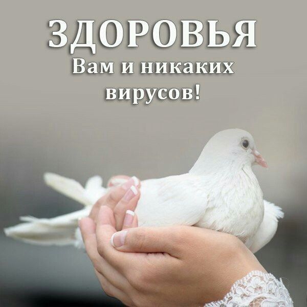 ЗЩЁЬЖ ш к