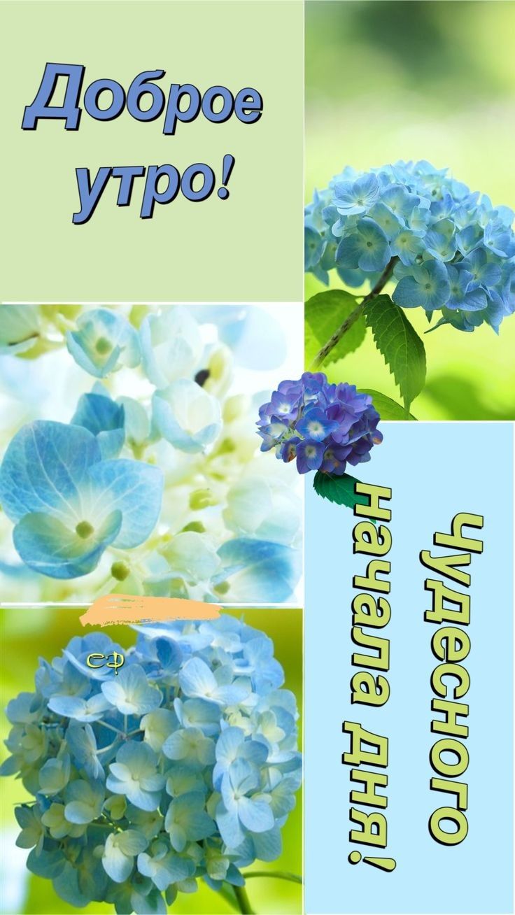 ЁЁЁЗ ЁЁЁ ЩЁЁ