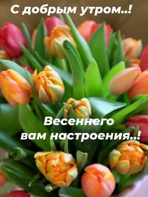 С добр утром 8 г Весе вам настроения и