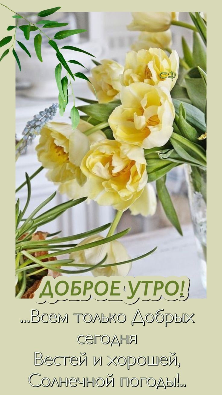 АОБВ 951593 М ТК Абрых Г Вата Хрщй СЧНЙ ПГдыд