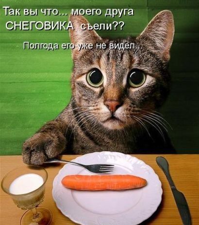 Так вы чтол_ио_его друга СНЕГОВИКА ЬЁПИГ Попюда его