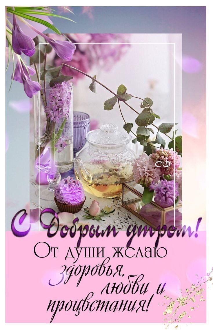 От А ШИЖЖАЗ т 0 Ла и щйття