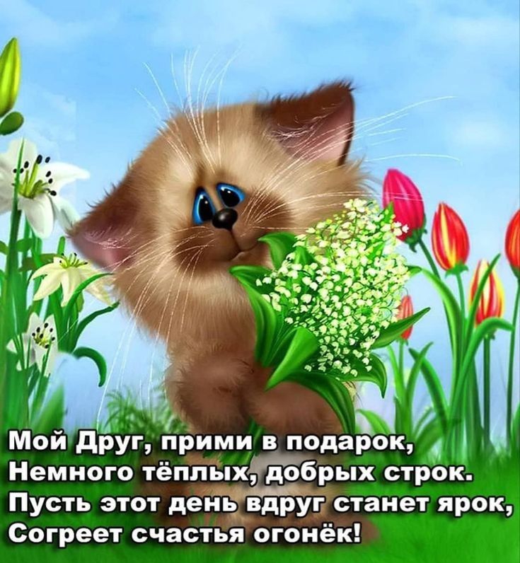а Мой дрУг прими в подарок Немного тёплых добрых стр0к Пусть этот день вдруг станет ярок Согреет счастья огбнёк