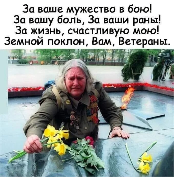 За ваше мужество в бою За вашу боль За ваши раны За жизнь счастливую мою Земной поклон Вам Ветераны