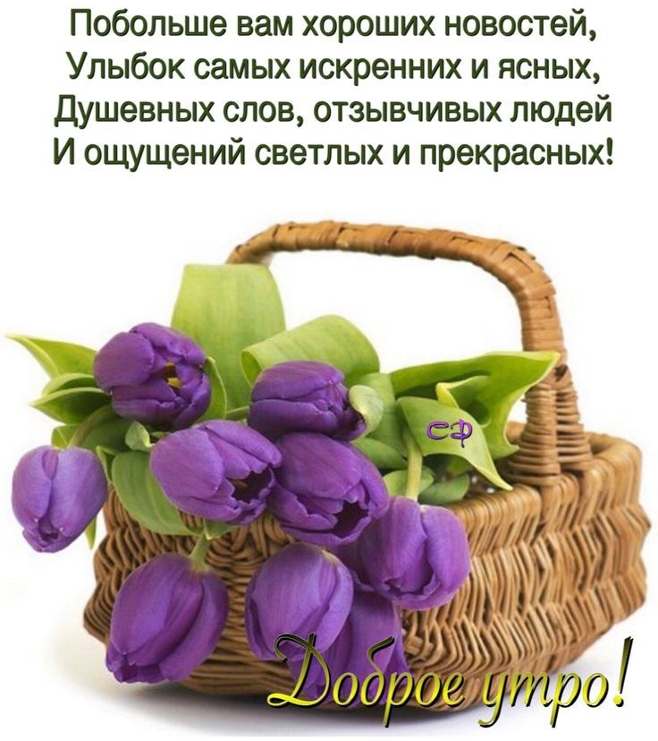 Побольше вам хороших новостей Улыбок самых искренних и ясных душевных слов отзывчивых людей И ощущений светлых и прекрасных