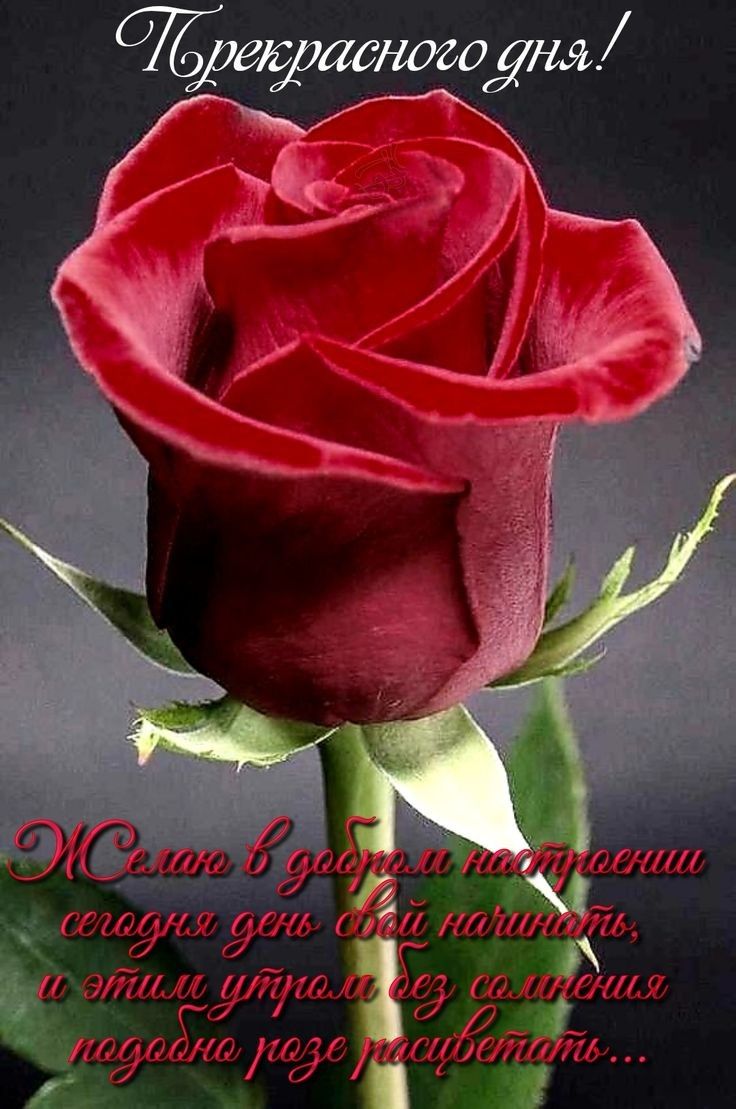 ВЁДЛЁНОЗОЯія