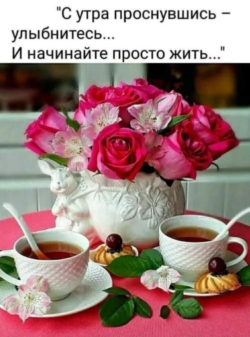 С утра проснувшись улыбнитесь И начинайте просто жить