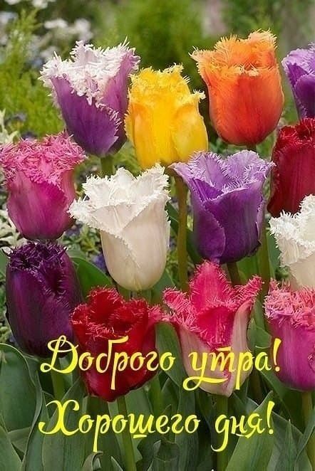 430 ишшо м9 4