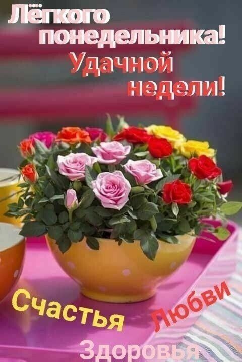 патио понедельника Удачной недели