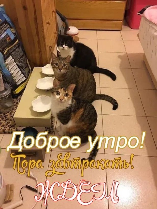 Эрое  и  2о  торо: сётрп ойы   е57 с !   7