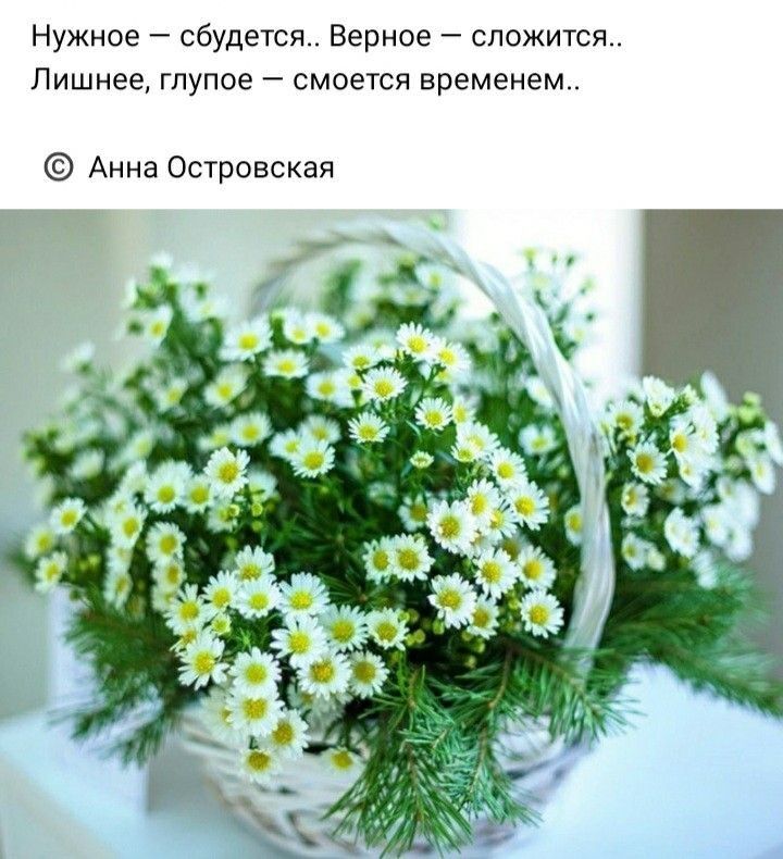 Нужное сбудется Верное сложится Лишнее глупое смоется временем Анна Островская