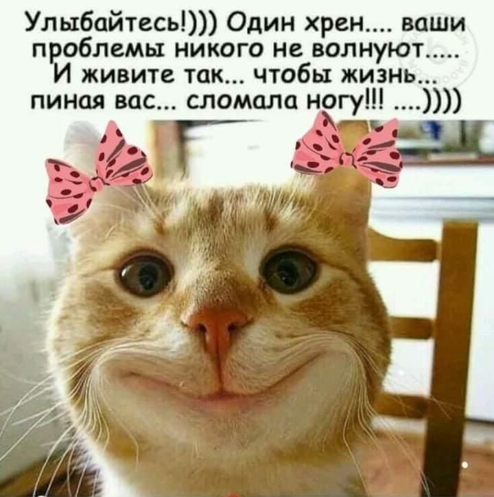 Улыбайтесь Один хрен ваши проблемы никого не волнуют И живите так чтобы жизнь пиная вас сломала ногу