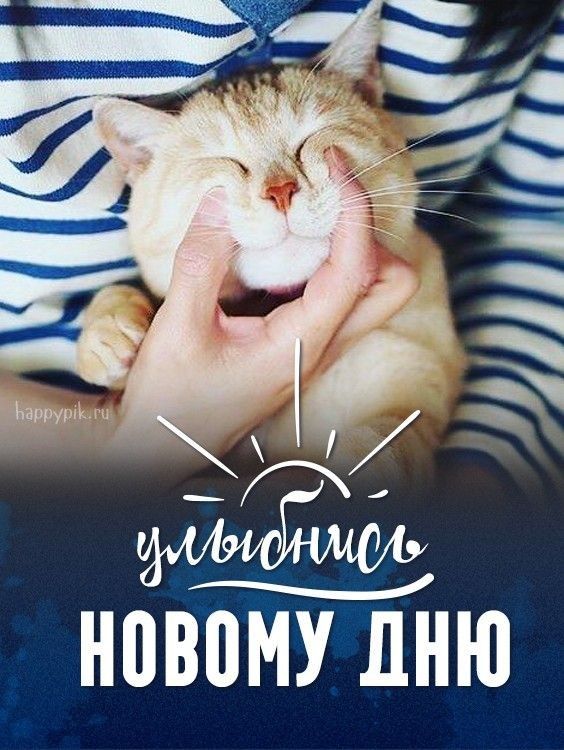 НВВПМУ ЛНЮ