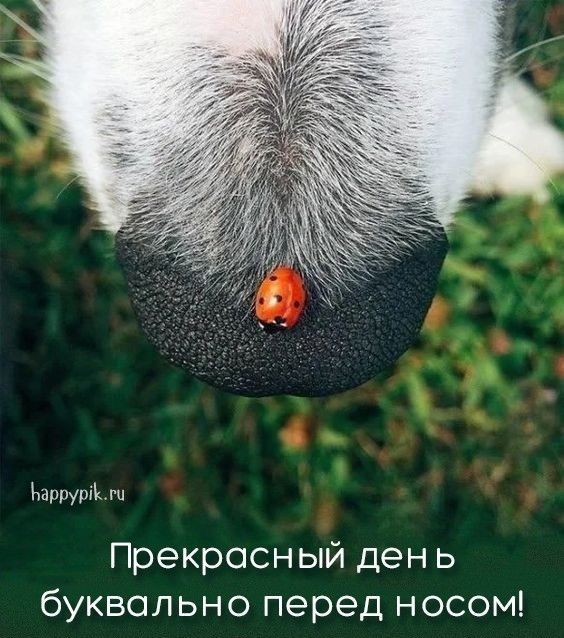 Ъаррутиц Прекрасный ден ь буквально перед носом