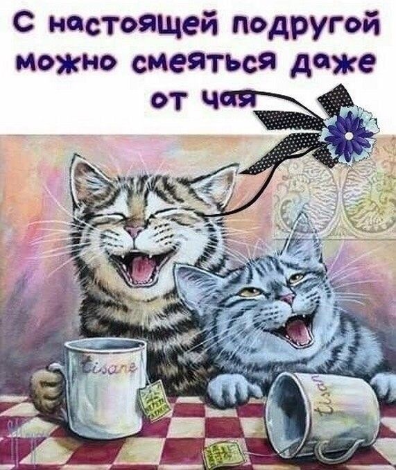 с настоящей подругой можно смейться даже