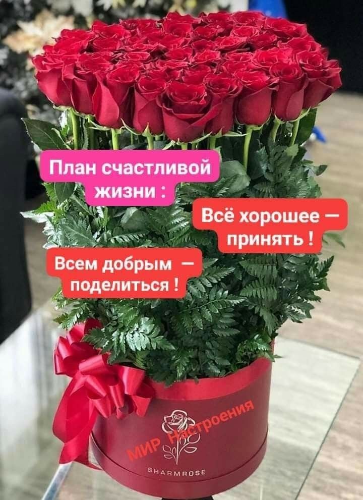 и ил