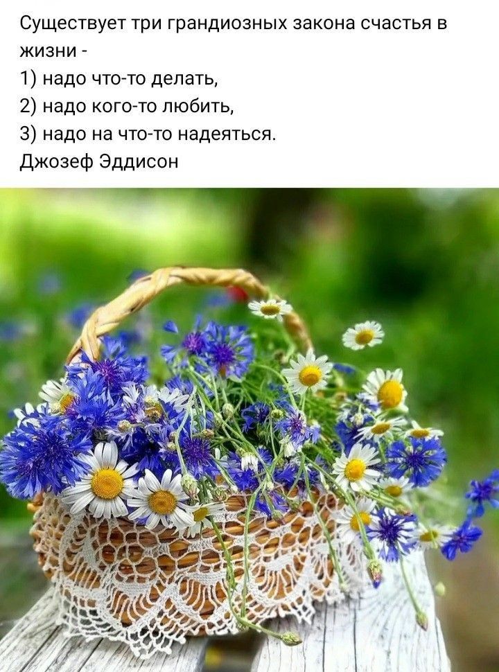 СУЩЕСТВУЕТ ТрИ ГраНДИОЗНЫХ закона счастья В жизни 1 надо что то делать 2 надо кого то любить 3 надо на чтото надеяться Джозеф Эддисон