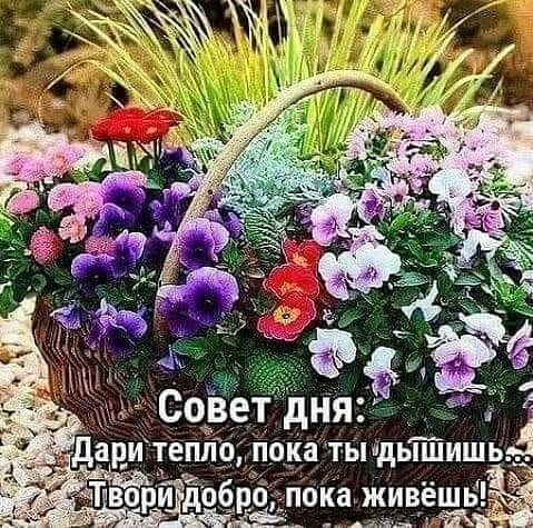 3551 ш ндьГШи ть Ка