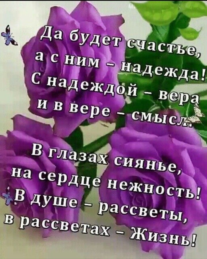 Вглъ   на серд