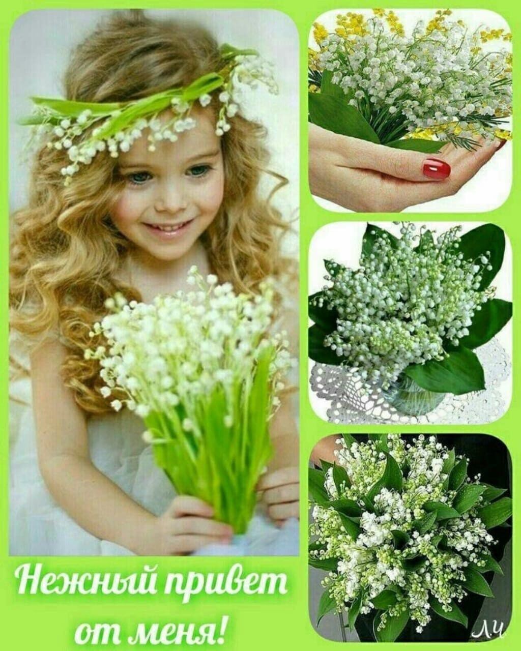 ПЦЁЩЦ ышшь