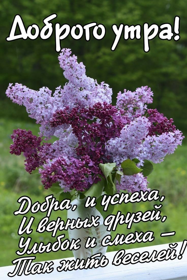 Лоб рото ут ра!